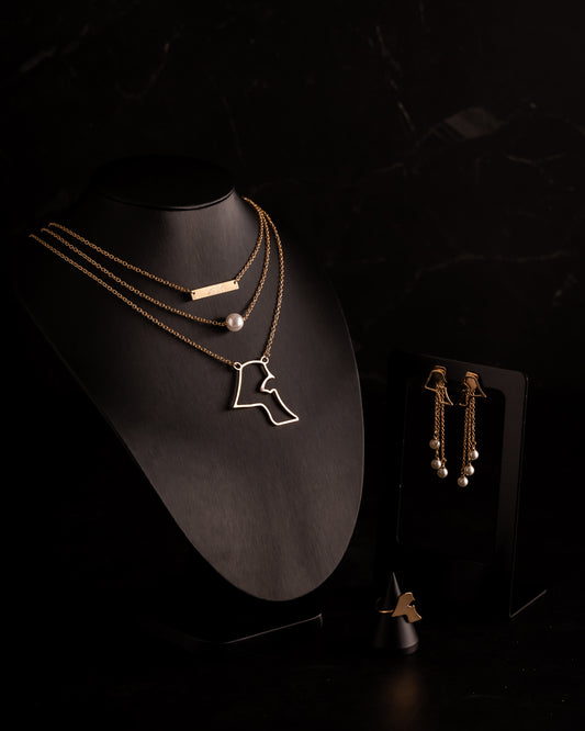 عرض العيد الوطني